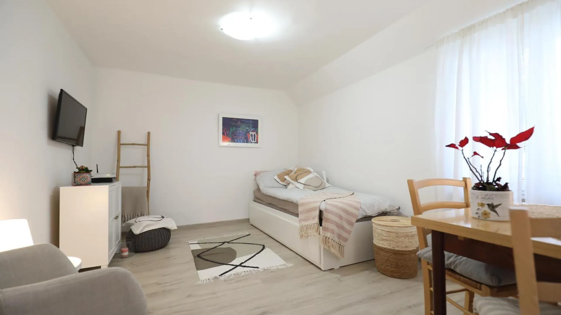 Apartment Mir Pola